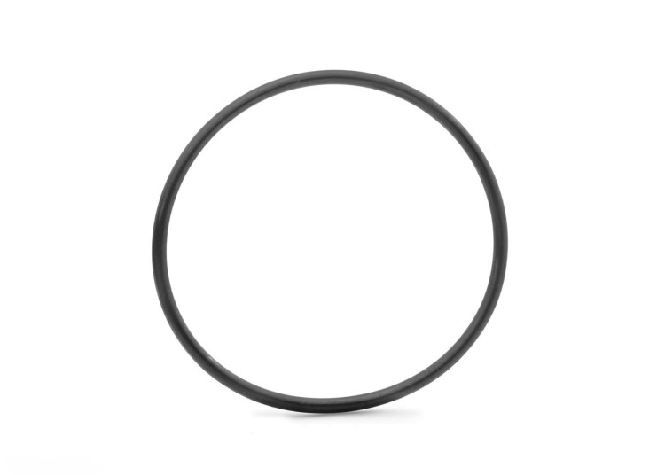 O-ring-BOSCH-BDU4XX.jpg